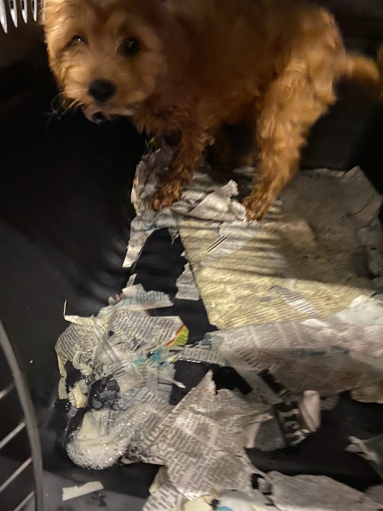 Confinement and Neglect During Travel